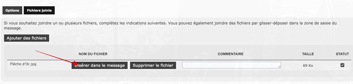 Insérer un fichier joint.png