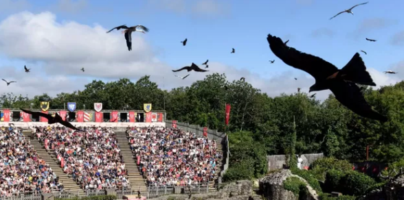 Puy du Fou.png